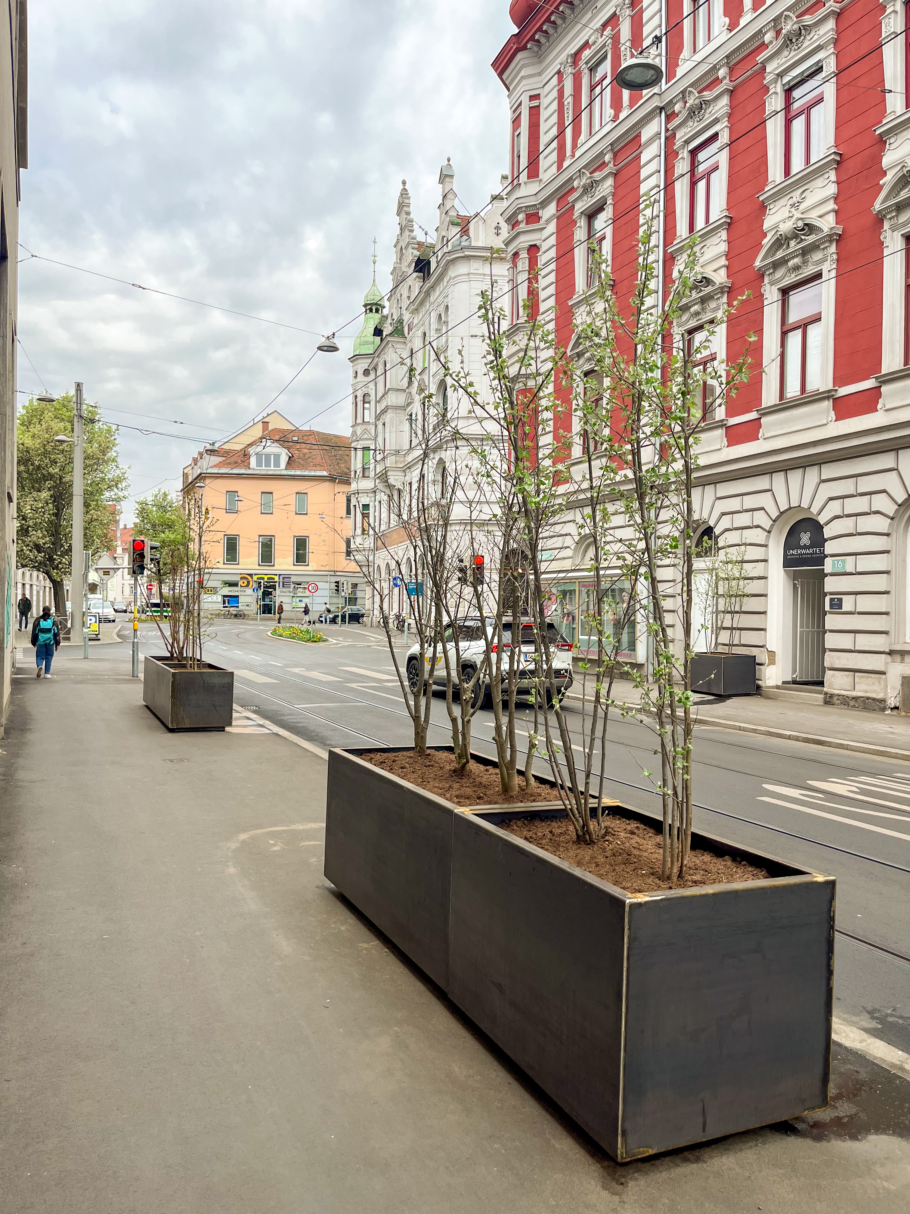 Pflanztrog mit Gehölzen in der Belgiergasse
